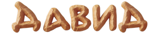 David — Logos 5