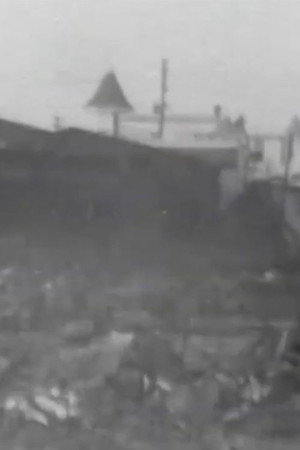 The Great Fire Ruins, Coney Island