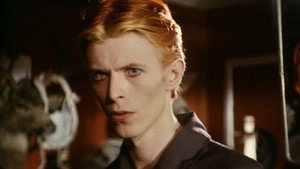 The Man Who Fell to Earth movie still 25