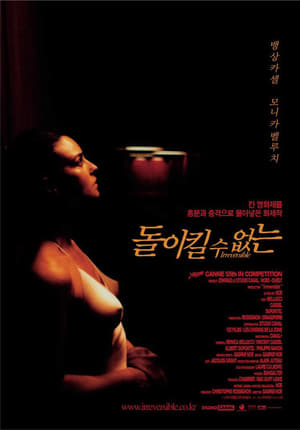 돌이킬 수 없는 2002