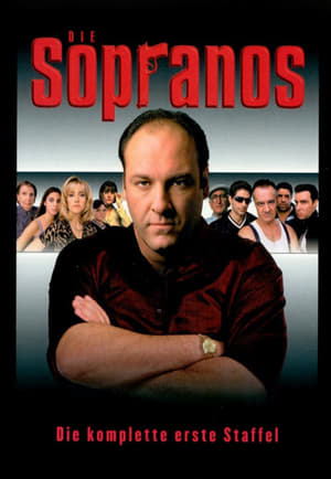 Die Sopranos: Staffel 1