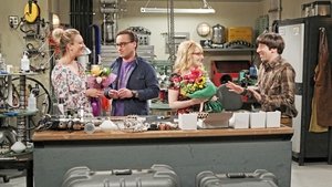 The Big Bang Theory 9 x Episodio 19