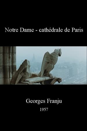 Notre Dame - cathédrale de Paris poster