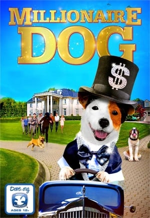 Millionaire Dog poster