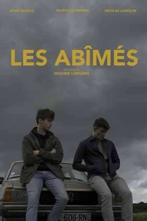 Poster Les abîmés ()