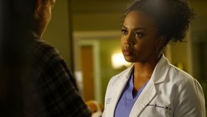 Grey’s Anatomy: Stagione 13 x Episodio 22