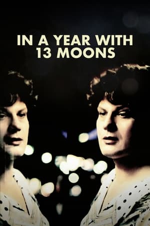 Poster In a Year with 13 Moons 1978
