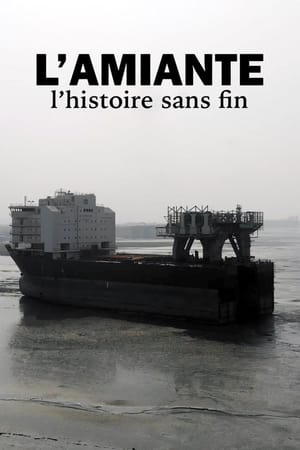 Image L'amiante, l'histoire sans fin
