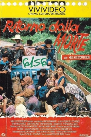 Poster Ritorno dalla morte 1989