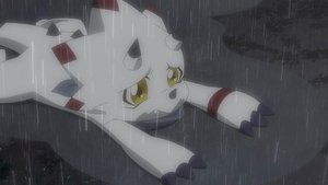 Digimon Ghost Game