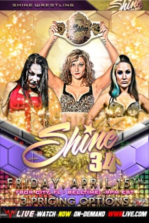 Poster SHINE 34 (2016)