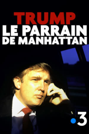 Poster Trump, le parrain de Manhattan 2018