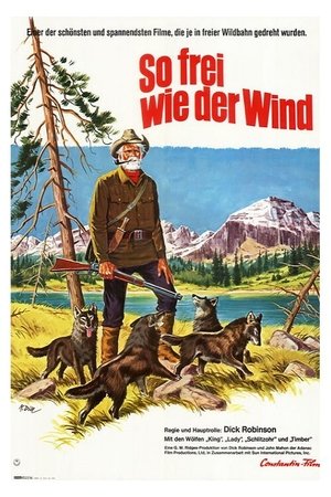 Brother of the Wind poster