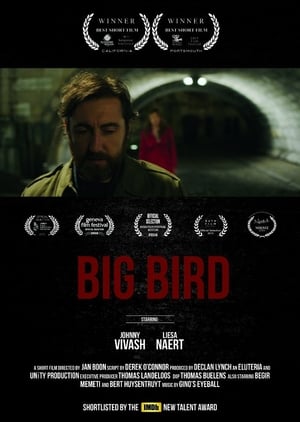 Poster Big Bird (2015)
