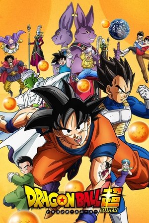 Poster Dragon Ball Super Temporada 1 Una celebración enturbiada. ¿Por fin combaten? ¡Mónaka contra Goku! 2016