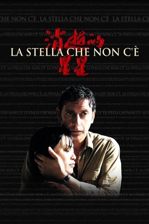 La stella che non c'è 2006