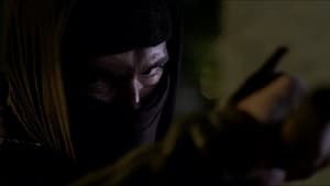 Ninja 2: La sombra de la muerte (2013)