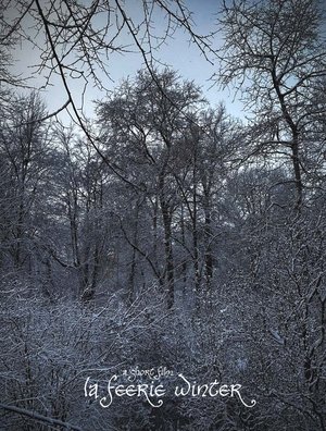 La Féerie Winter La Féerie Winter