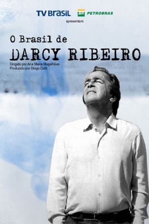 Poster O Brasil de Darcy Ribeiro (2014)