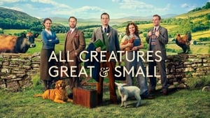 All Creatures Great & Small (2020)