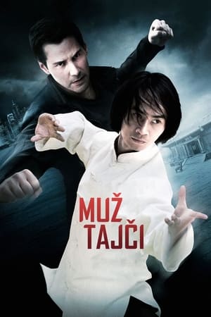 Poster Muž tajči 2013