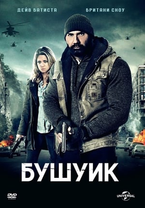 Poster Бушуик 2017