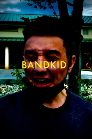 Poster Bandkid or (The Fundamental Need of  Social Acceptance) 2024