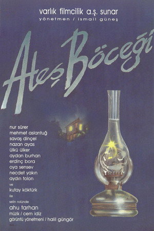 Ateş Böceği 4