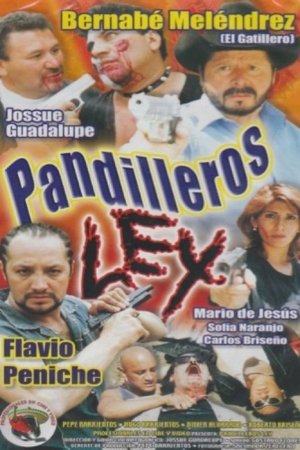 Poster Pandilleros Ley 2005