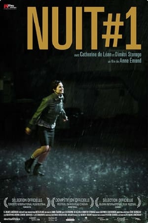 Poster Їх перша ніч 2011