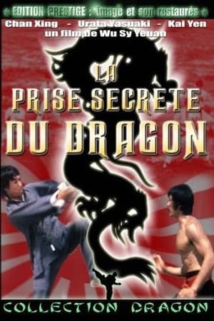 Image La prise secrète du dragon