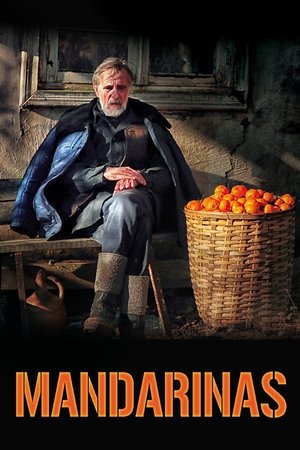 pelicula Mandarinas (2013)