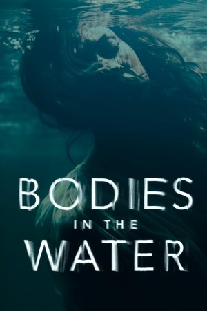 Image Bodies in the Water