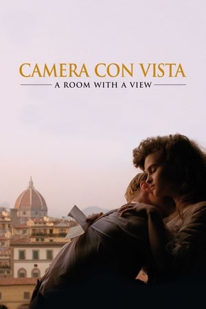 Poster Camera con vista 1986