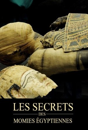 Mummy Mysteries Mummy Mysteries