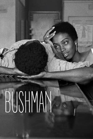 Image Bushman