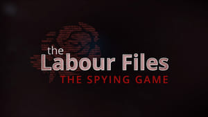 Image The Spying Game