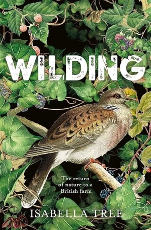 Wilding 5