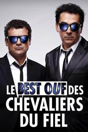 Poster Le Best Ouf des Chevaliers du Fiel 2012