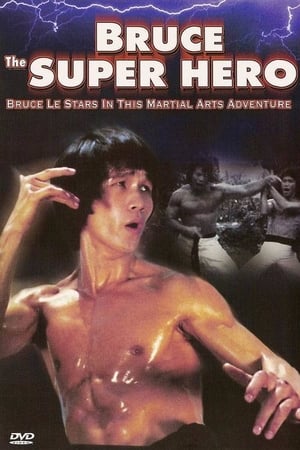 Poster Bruce the Super Hero 1979