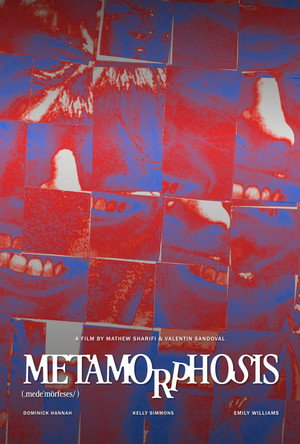 Metamorphosis 12