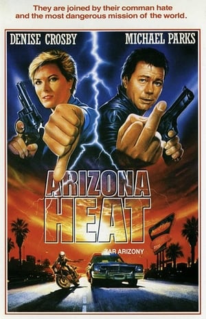 Arizona Heat poster