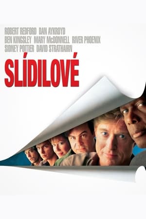 Slídilové