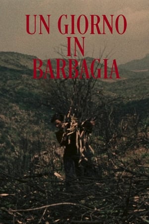 Un giorno in Barbagia 1958