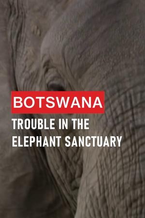 Poster Botswana: Trouble in the Elephant Sanctuary (2019)