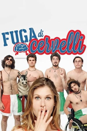 Poster Fuga di cervelli 2013