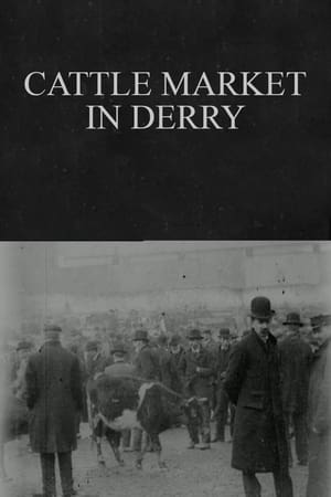 Image Cattle Market in Derry