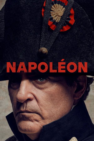 poster Napoleon