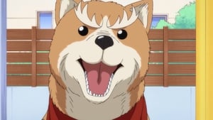 Oda Cinnamon Nobunaga: 1×1