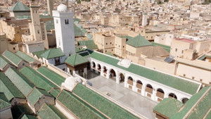 Les trésors oubliés de la médecine arabe